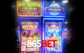 865bet - A Plataforma Mais Popular Do Brasil - 865bet.com
